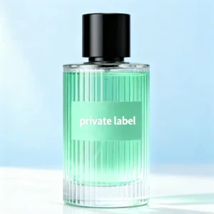 Private Label Vegan Unisex Perfume Eau De Parfum Spray Fresh Scent Long Lasting Fragrance High Quality Bulk Good Price