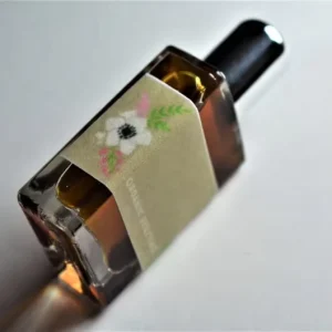 Private Label Women’s Perfume Spray Customizable Luxury Parfum
