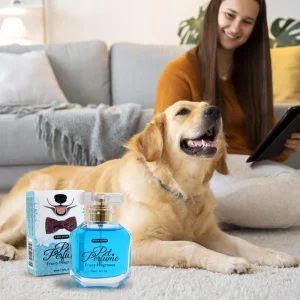 Professional Dog Perfume Long Lasting Mild Pet Cologne Deodorant Alcohol Free Eco Friendly Pet Care Products OEM