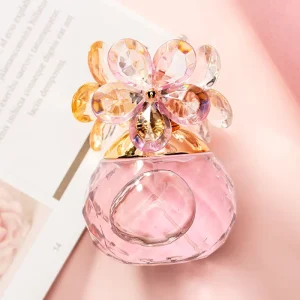 Spray Perfume 50ml Luxury Perfume Without Logo for Women
