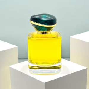 Square Spray Perfume Glass Bottle 30ml 50ml 100ml Glass Perfume Bottle Parfum Luxury Perfume Bottle with Plastic Cap