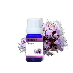 Top Grade 100% Natural Sweet Marjoram Essential Oil Premium Body Perfume Oil Competitive Bulk Supply Prices