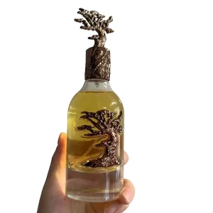 Top Quality 100ML Unisex Arabes Gift Box Oud Perfume Perfume Al Arab Dubai Mayor Woody Eau De Parfum